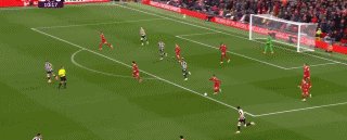 利纽11.gif